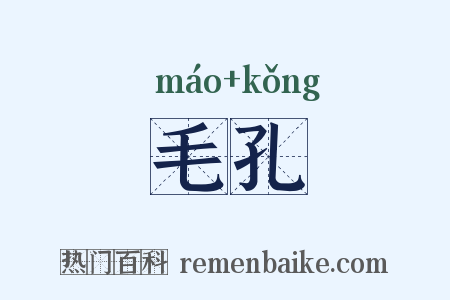 毛孔是什么意思的图片